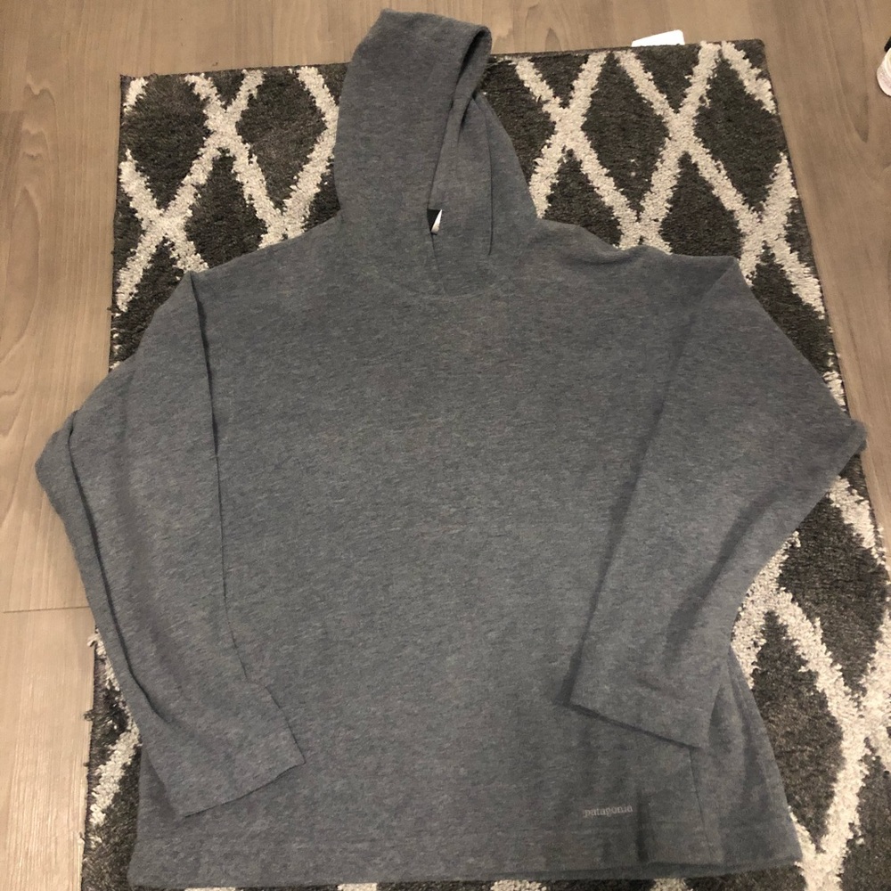 Patagonia Faded Blue Hoodie